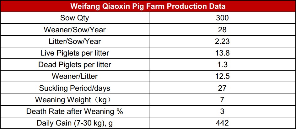Weifang Qiaoxin-The Danish High Standard GGP Farm