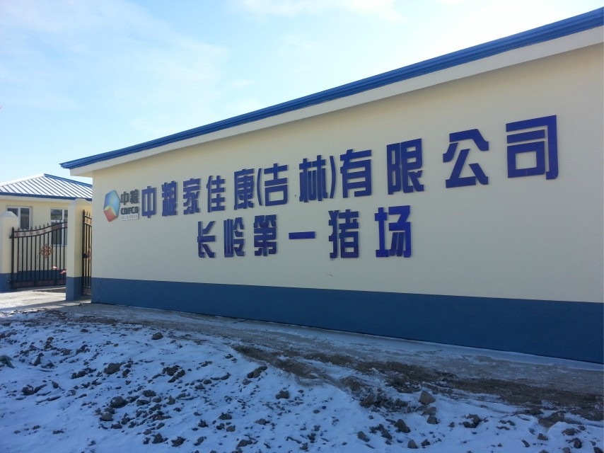大集团项目案例